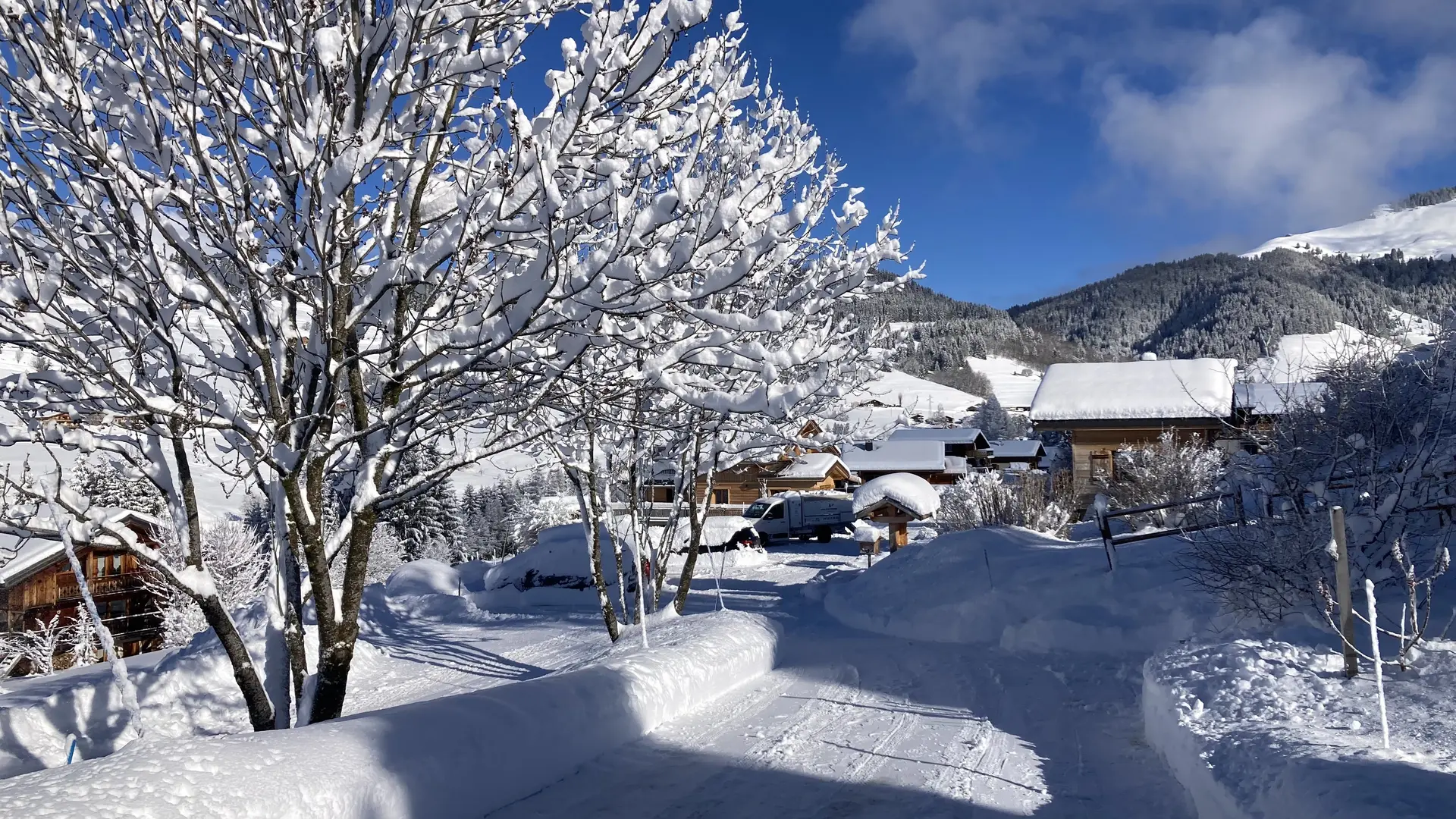 Les Chalets d'Heidi