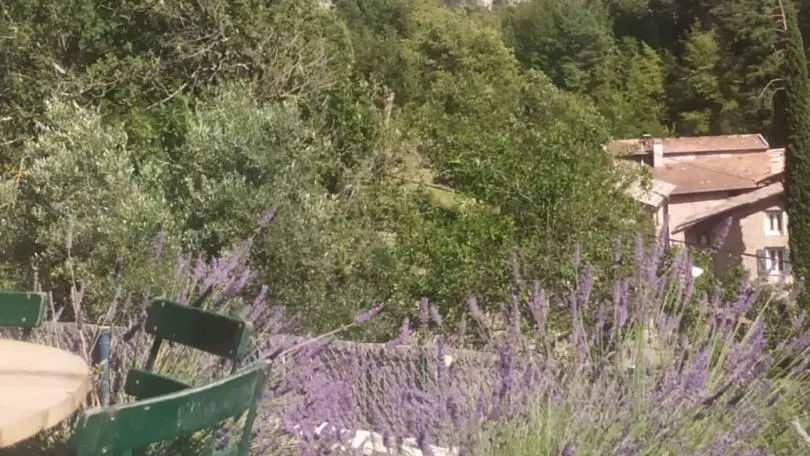 Gîte l'Aire - Vue Terrasse - Lantosque - Gîtes de France des Alpes-Maritimes