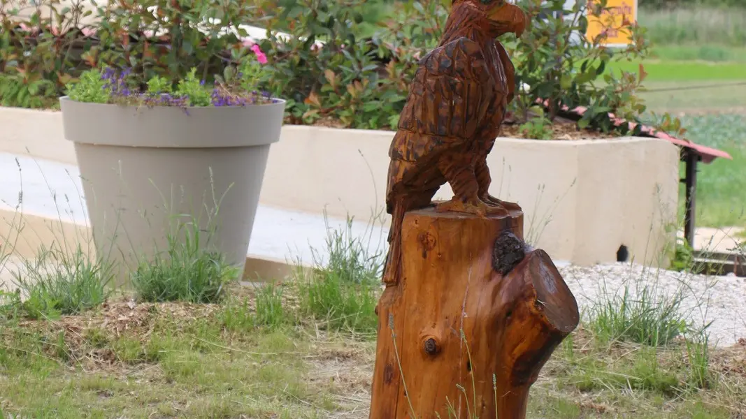 Wooden sculptures