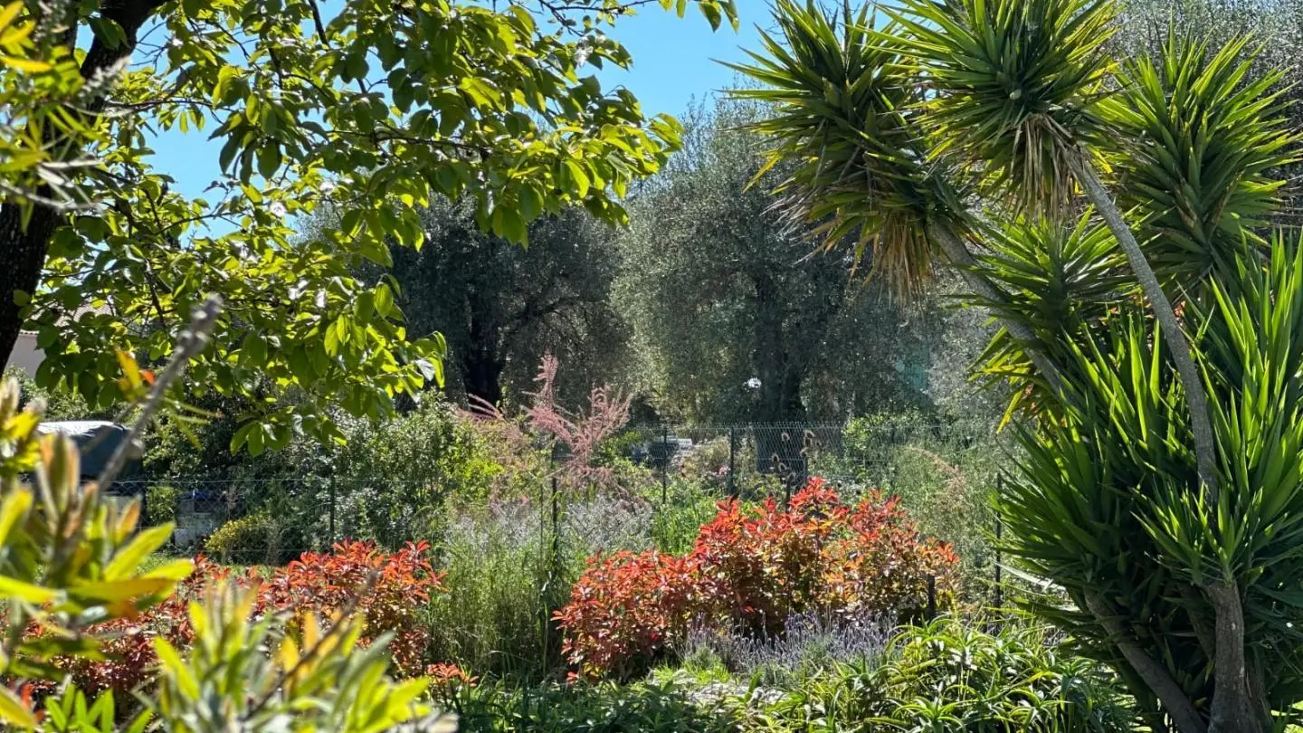 Gîte Olidom-Jardin-Saint Jeannet-Gîtes de France Alpes-Maritimes