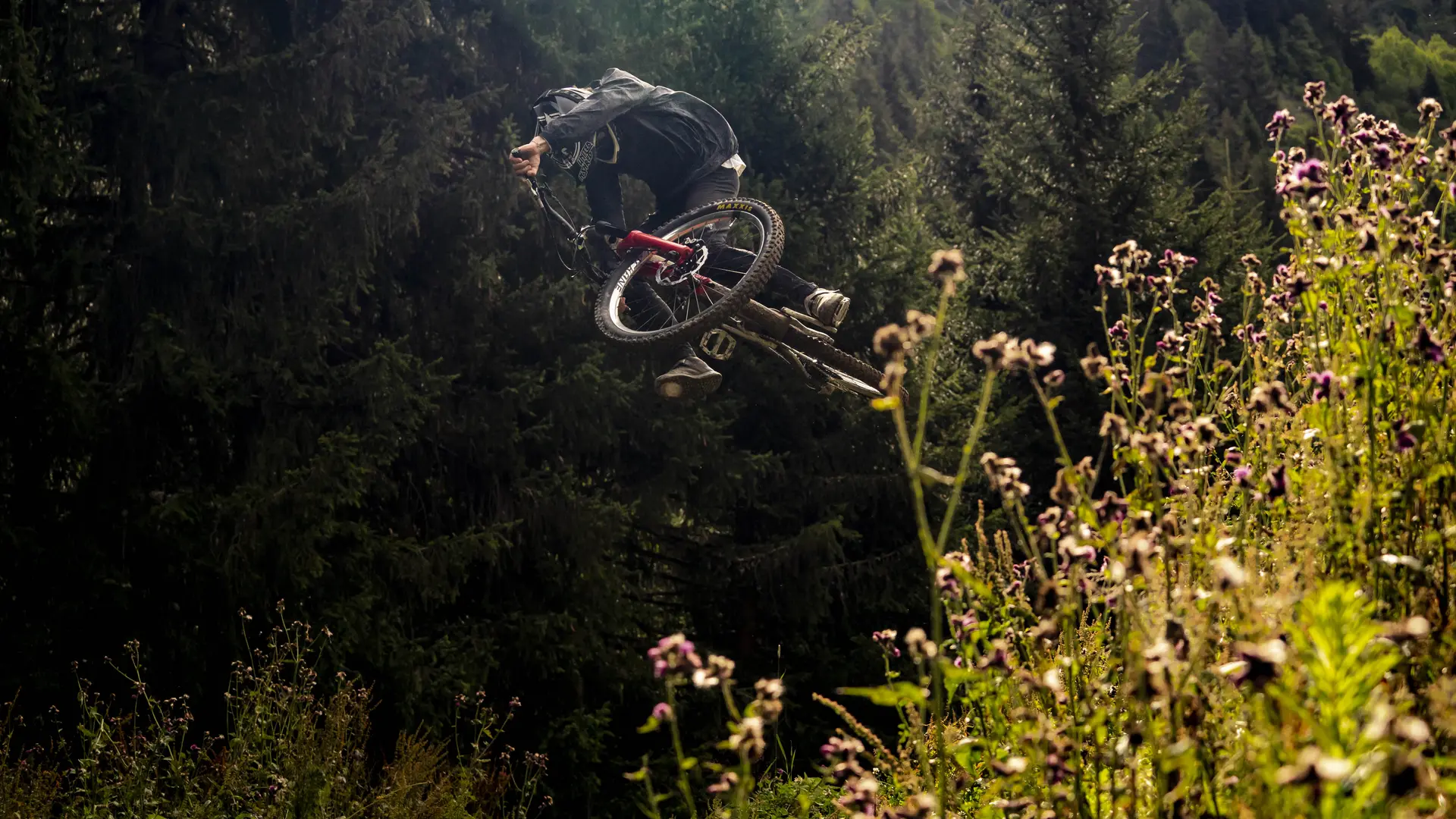 Piste VTT la People du Bike Park de Châtel