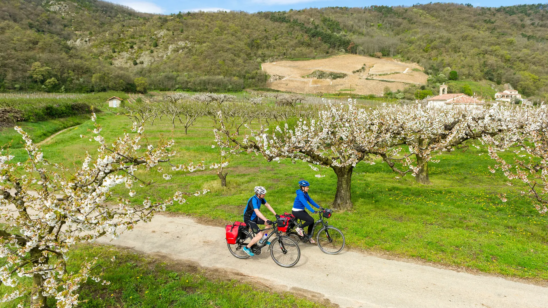 ViaRhôna aux alentours de Tournon