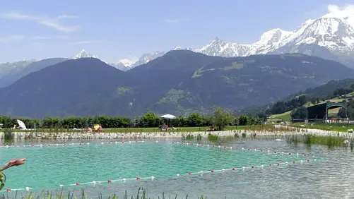 plan d'eau biotope- saune hammam jaccuzzi - 300m du gite