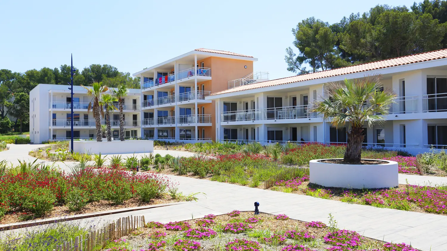Pin Rolland - St Mandrier sur mer