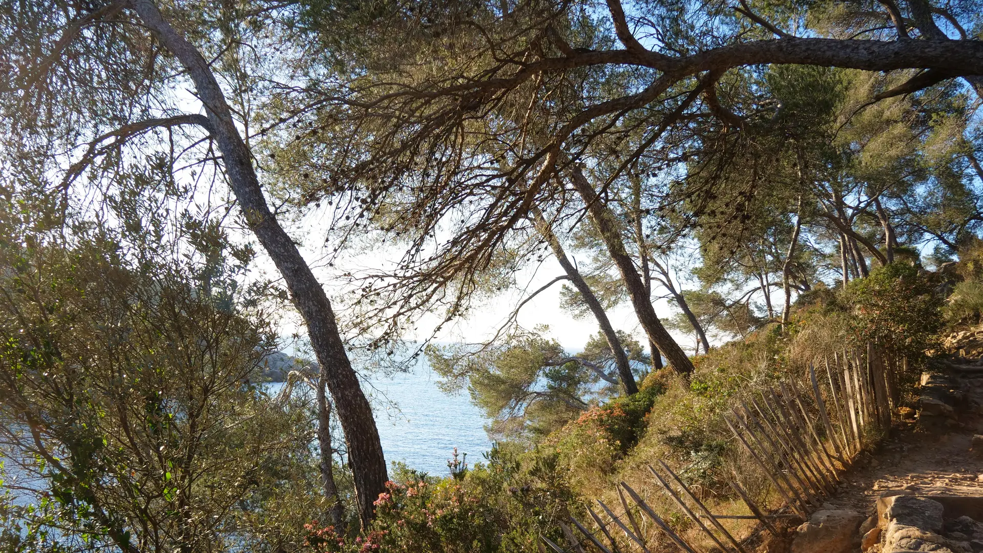 Le Sentier du littoral entre Port d'Alon et la Pointe Fauconnière