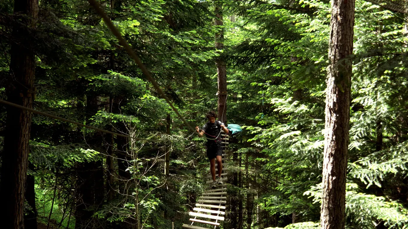 Jungle Laye, une aventure acrobatique en forêt à Laye, vallée du Champsaur