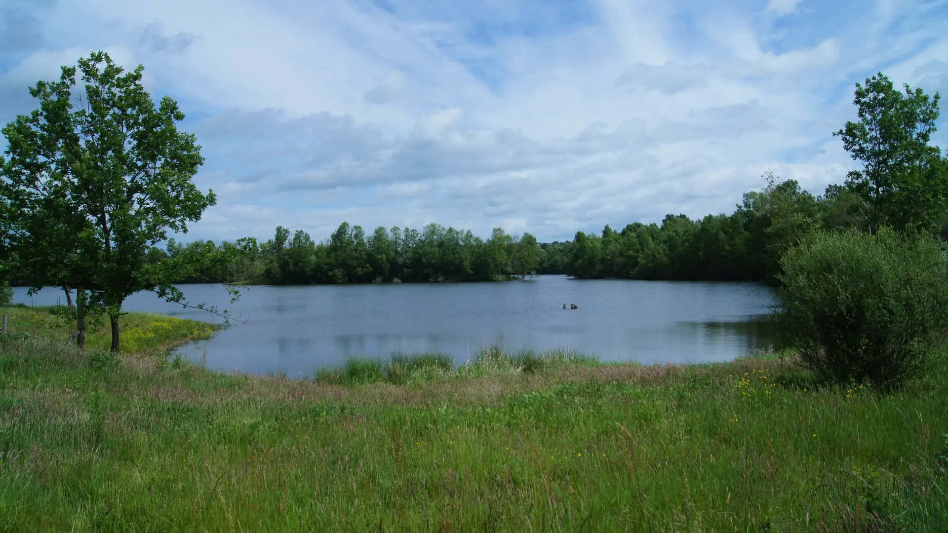 Réserve naturelle La Vauvre