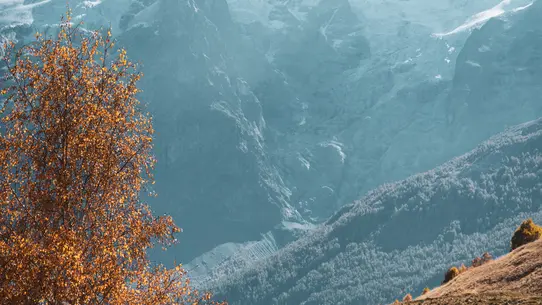 Serre Bernard par la Berche - Rando La Grave