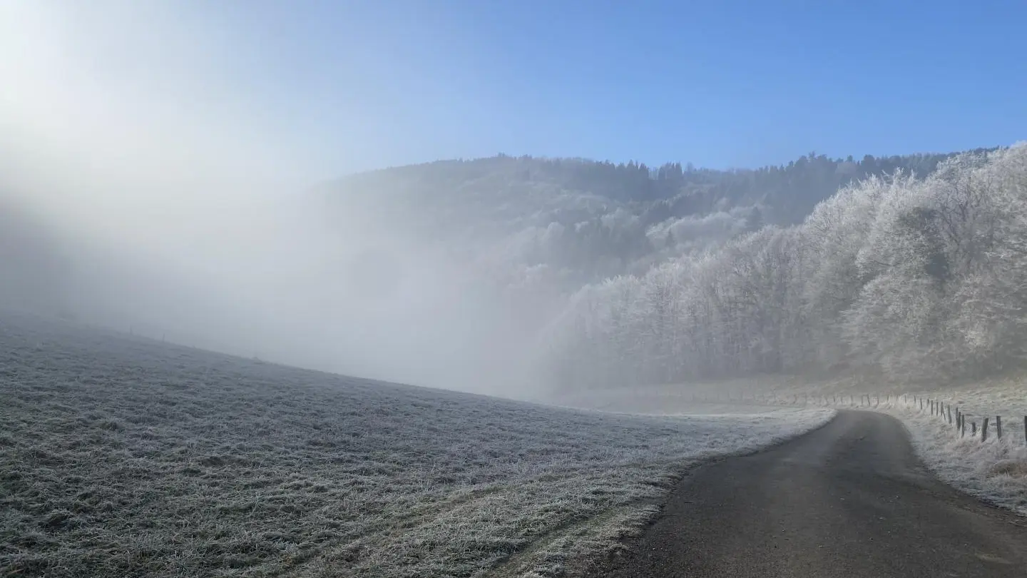 Matin d'hiver