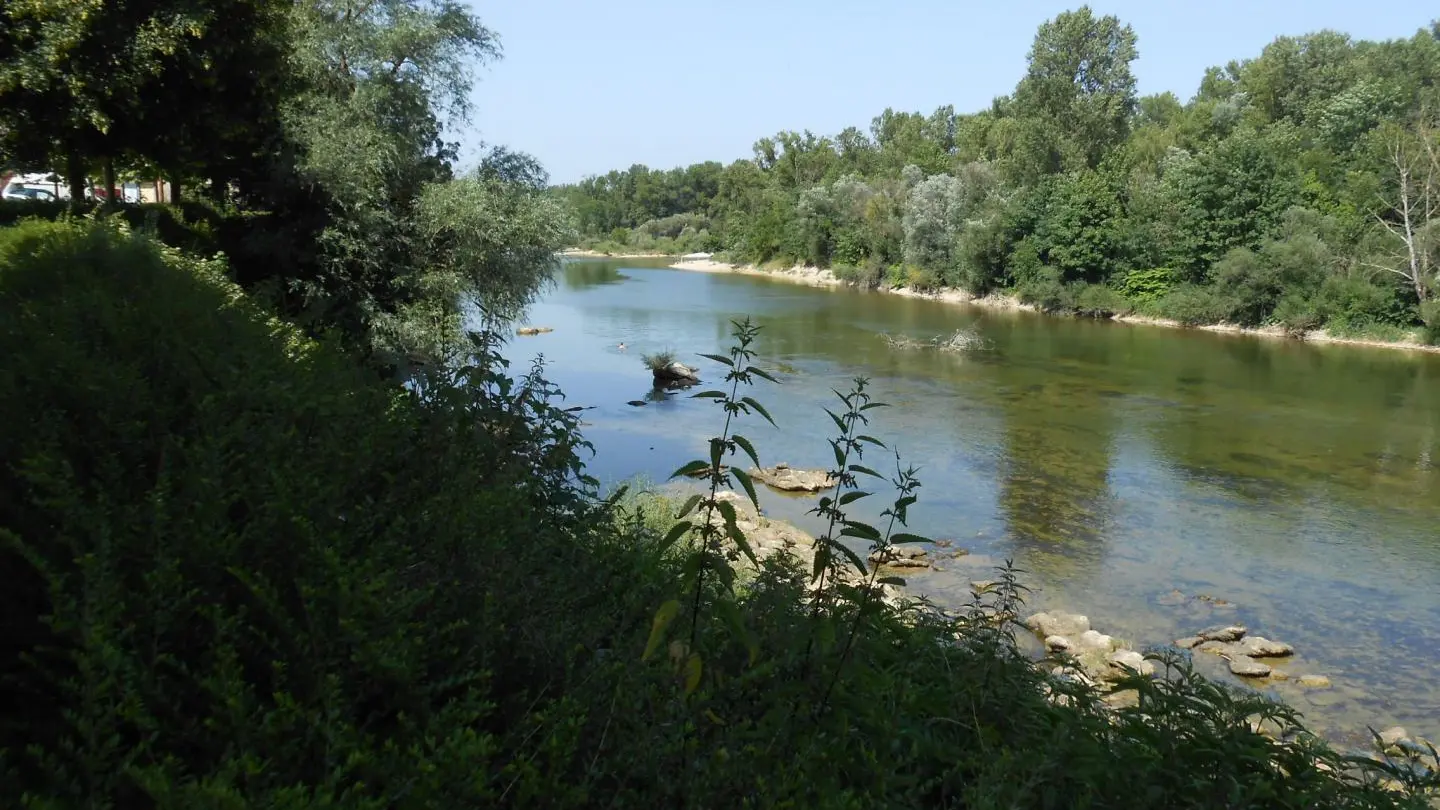 Rivière d'Ain.
