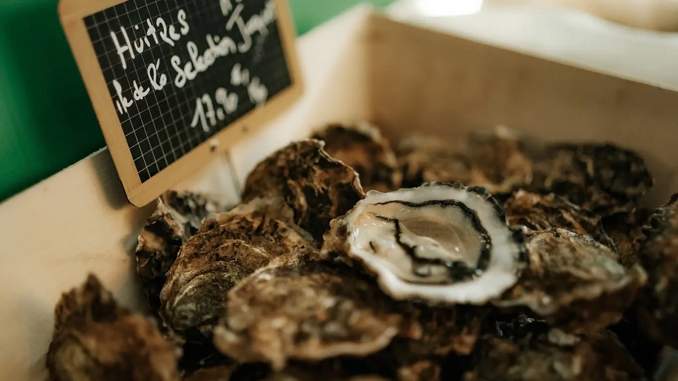 Oysters for sale