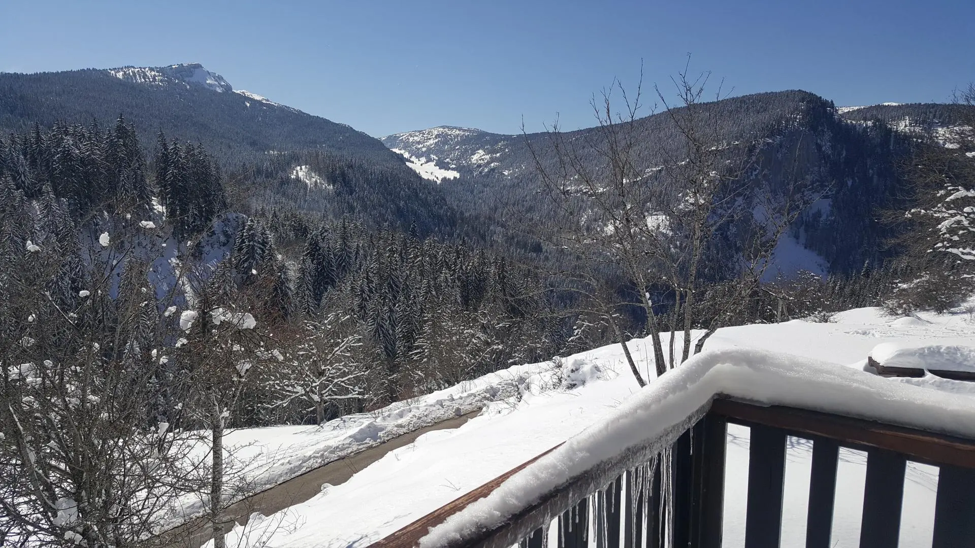 Vue depuis le balcon