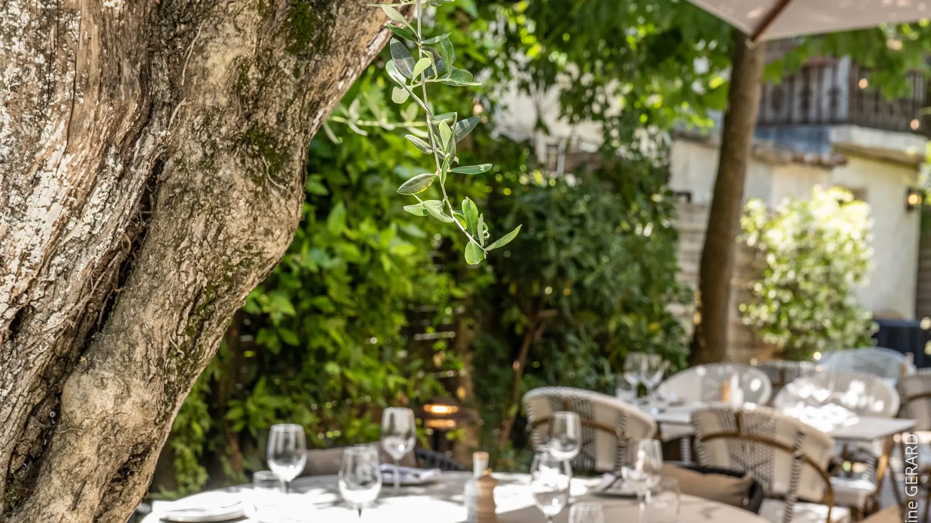 Terrasse estérieure restaurant Laflora Mougins