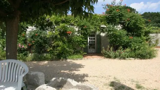 Photo_3