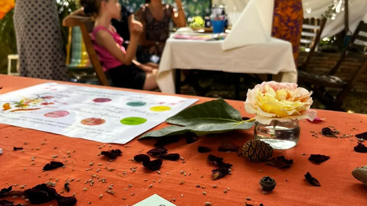 prestation création brume d'été