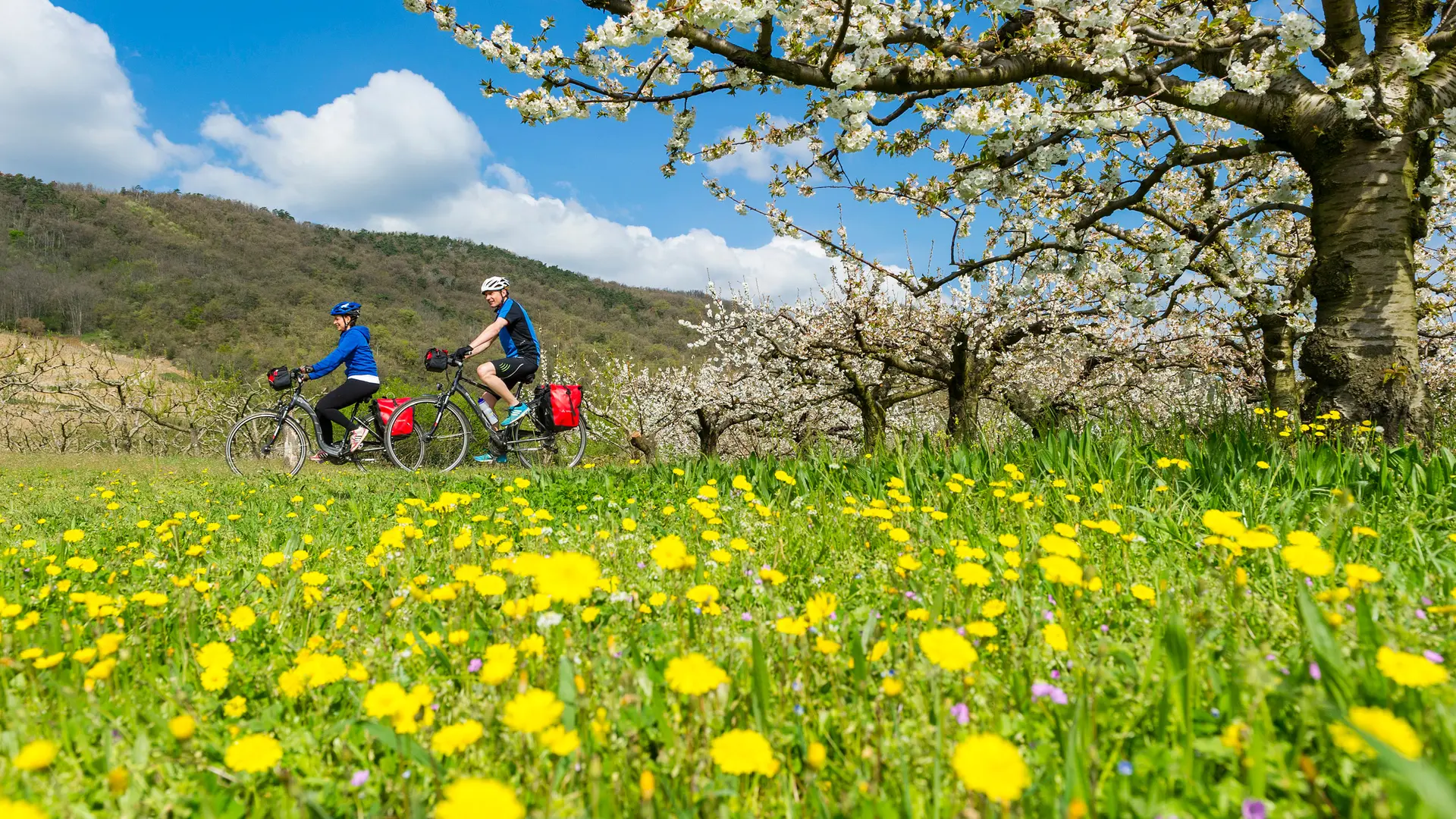 ViaRhôna aux alentours de Tournon