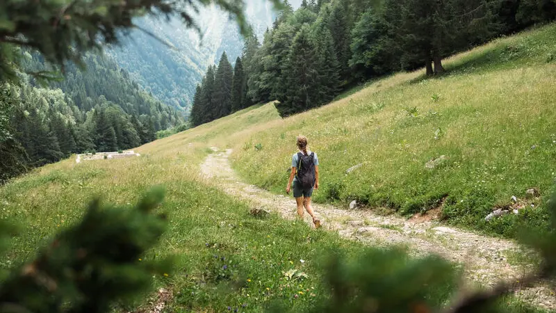 Forêt de Coutarse