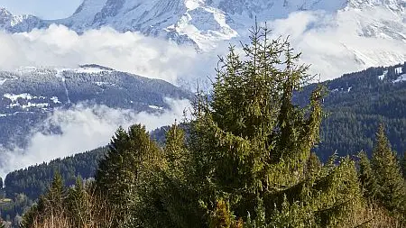 Terrasse de l'Alpen Valley