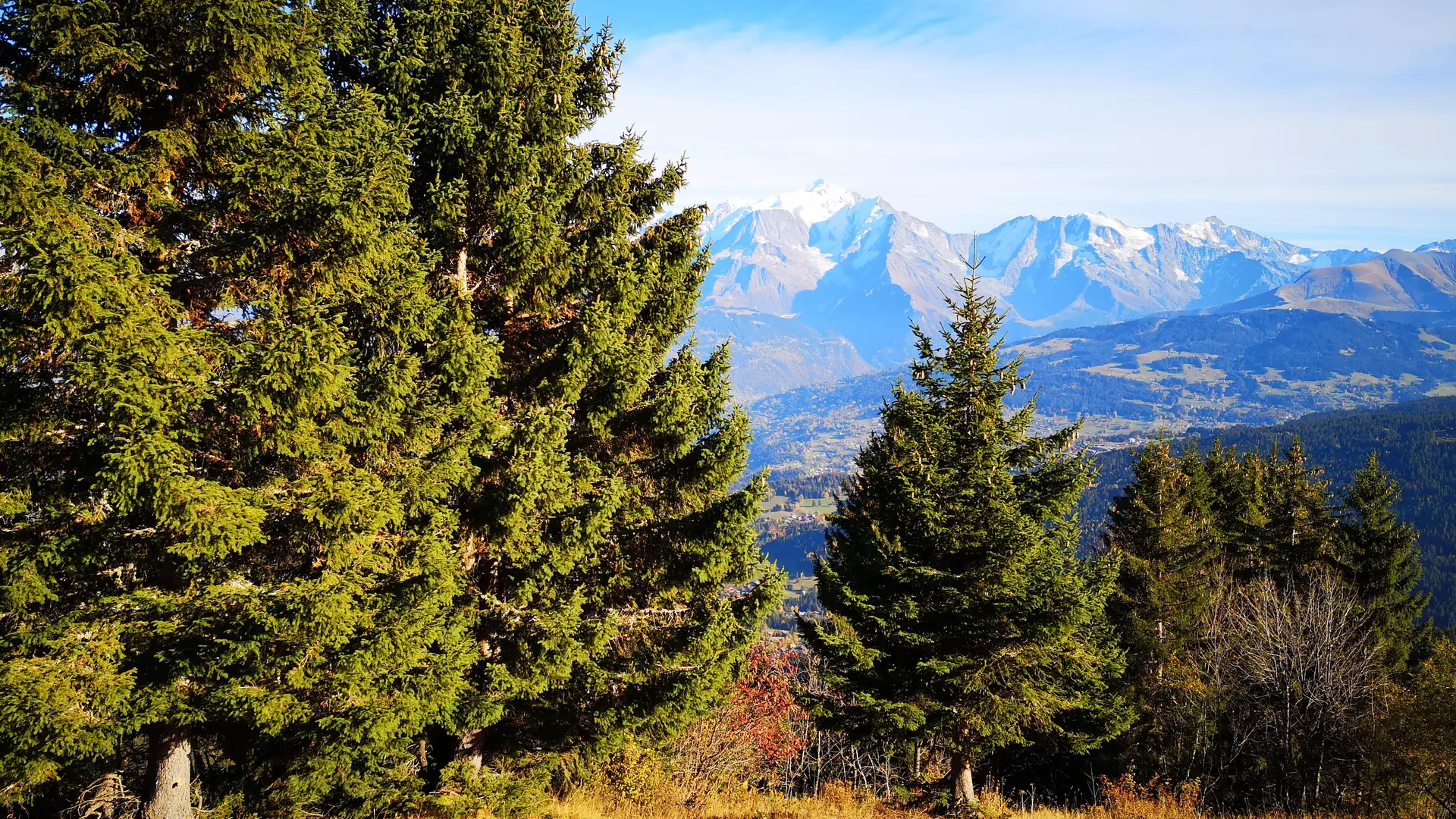 Forêt et montagne sur le chemin du plateau des Bénés
