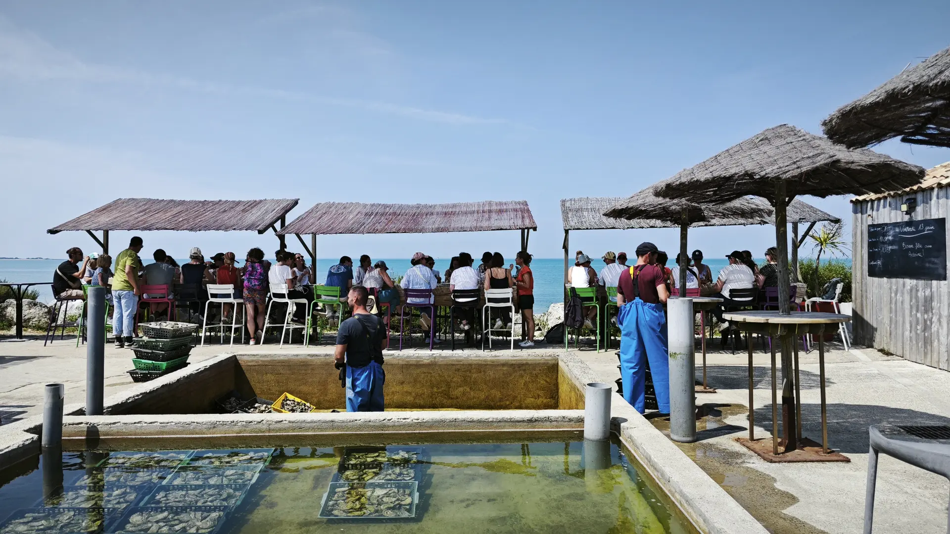Cata con vistas al mar