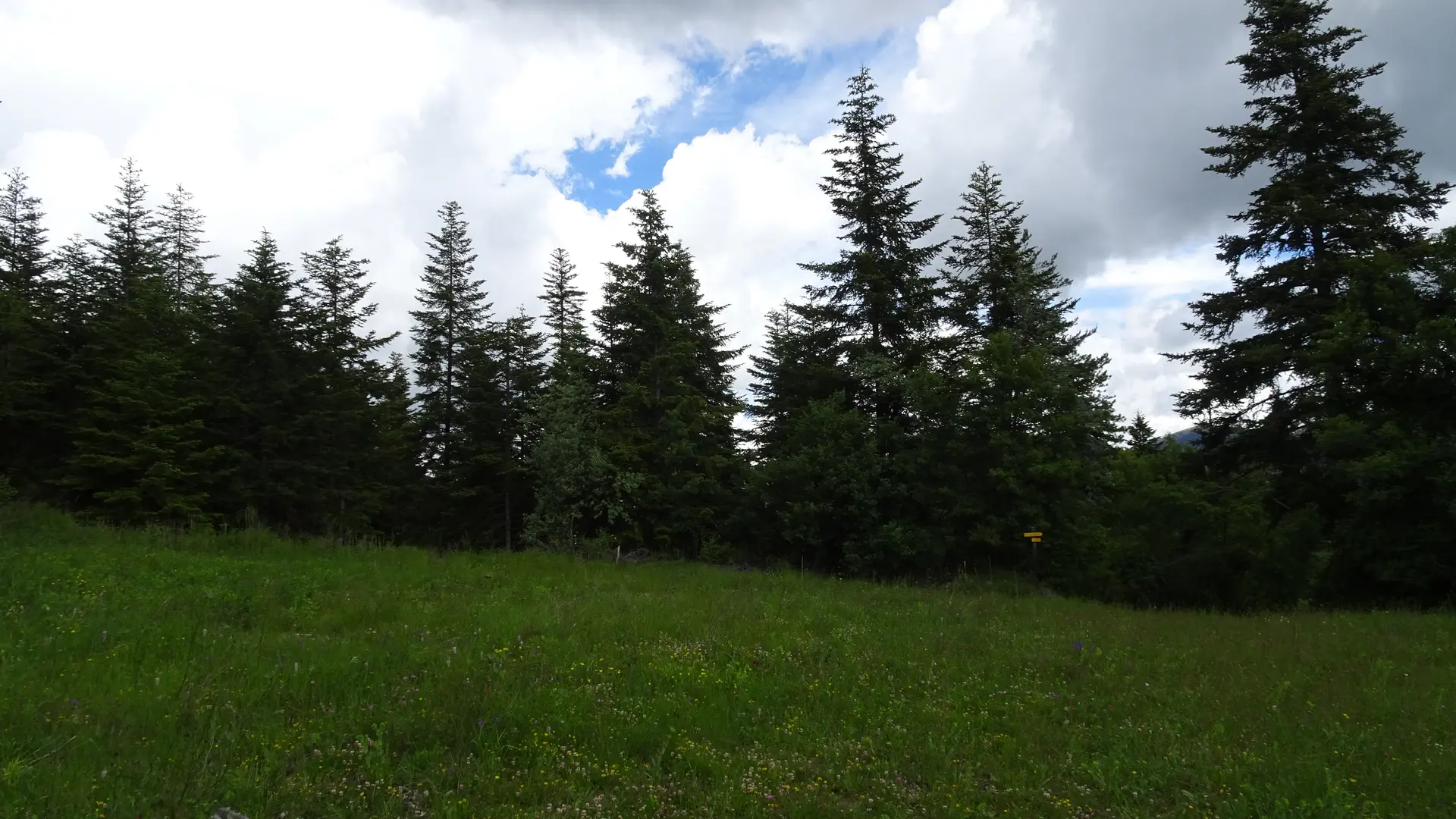 Le Coullet Saint André les Alpes