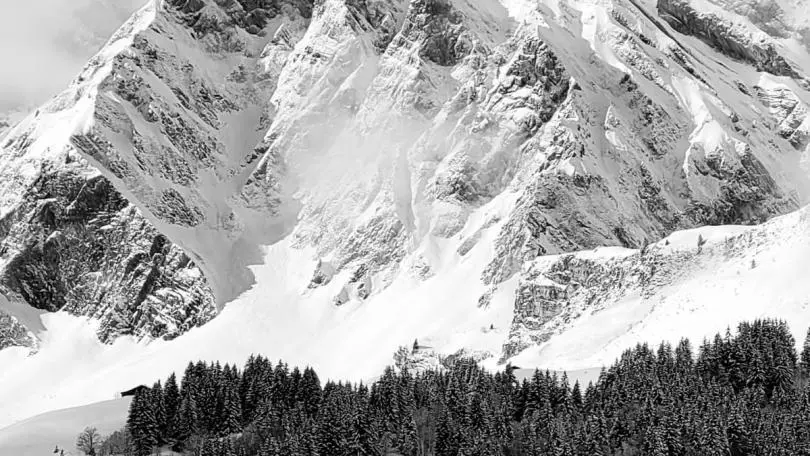 L'ETALE EN HIVER