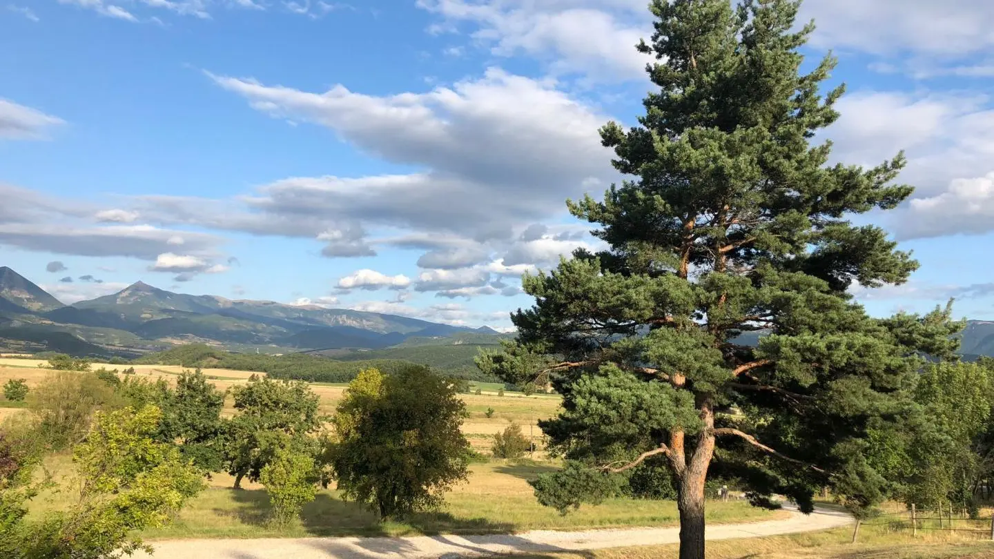 La vue depuis la propriété