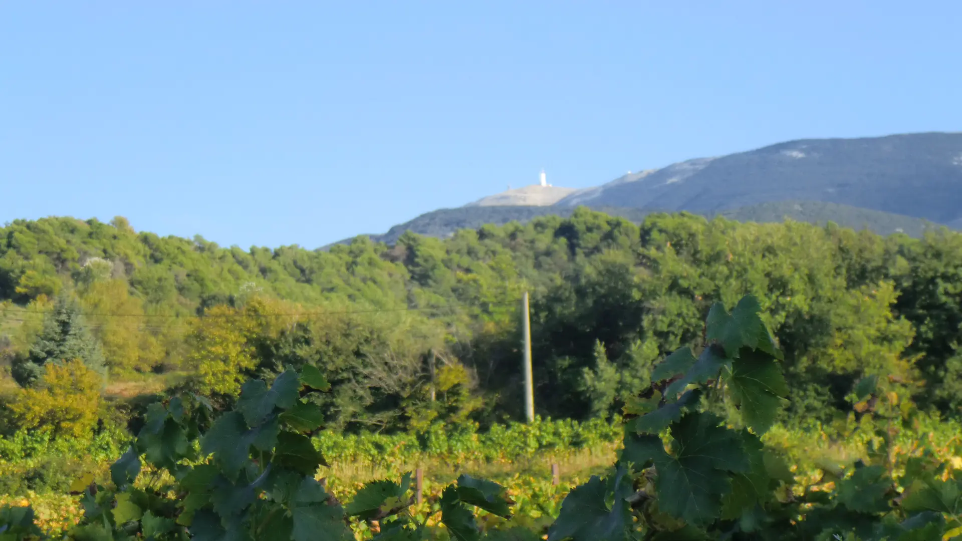 Vue Ventoux