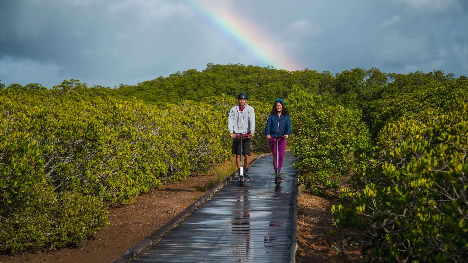 Parcours de la mangrove Ouémo