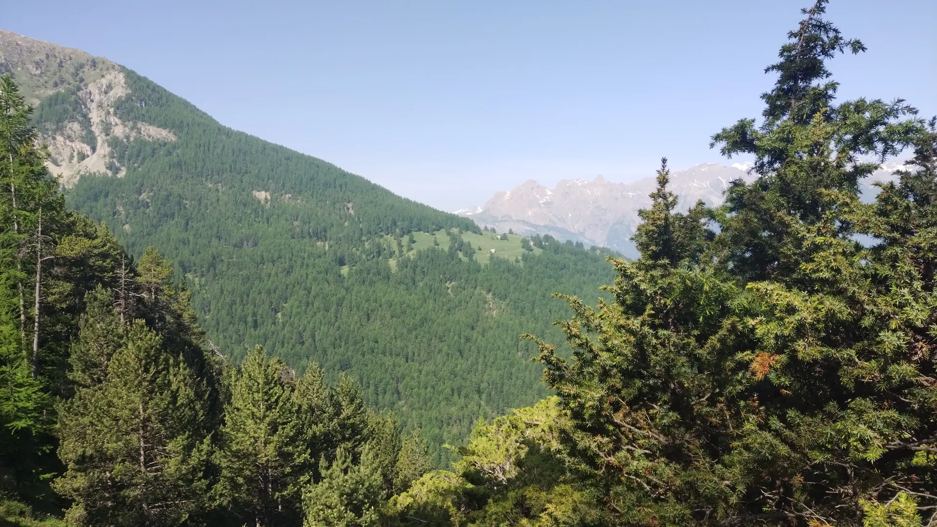 Vue sur le Mélézin