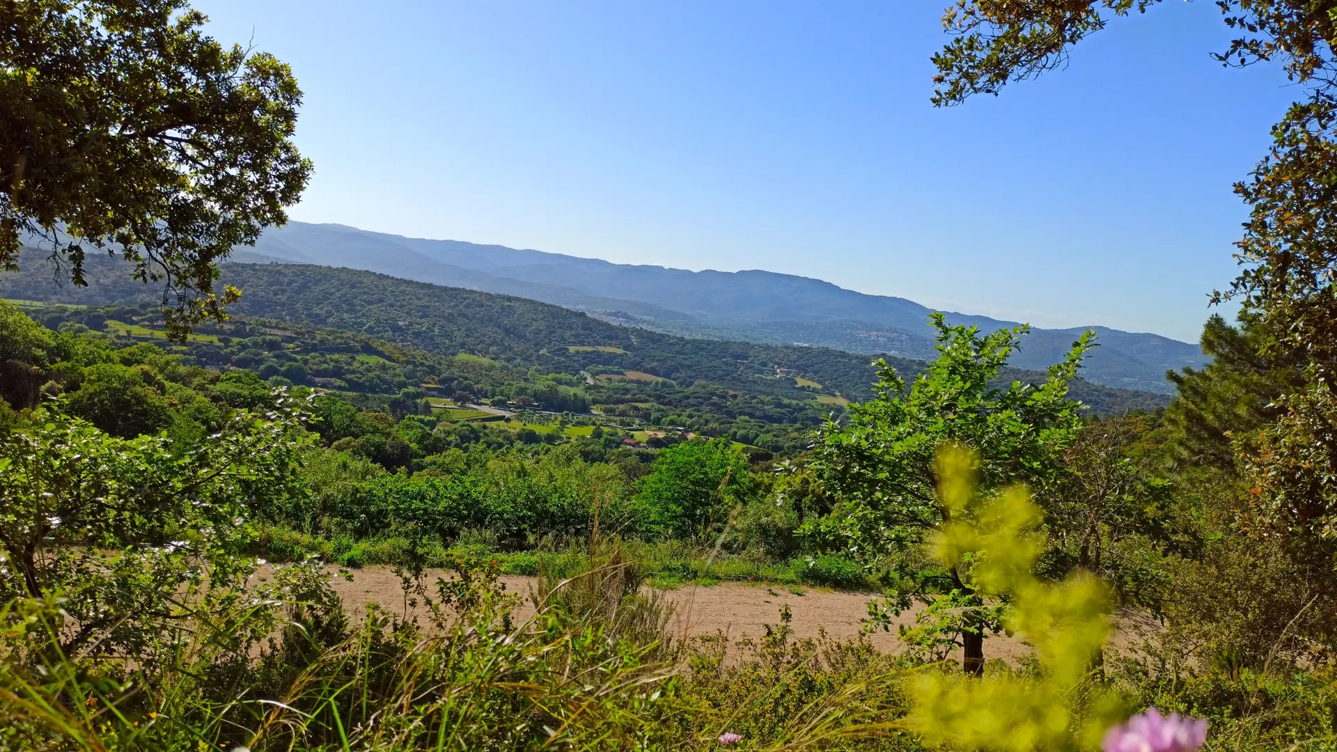 Vue sur Grimaud sur le sentier de la mer à Gassin https://gassin.eu