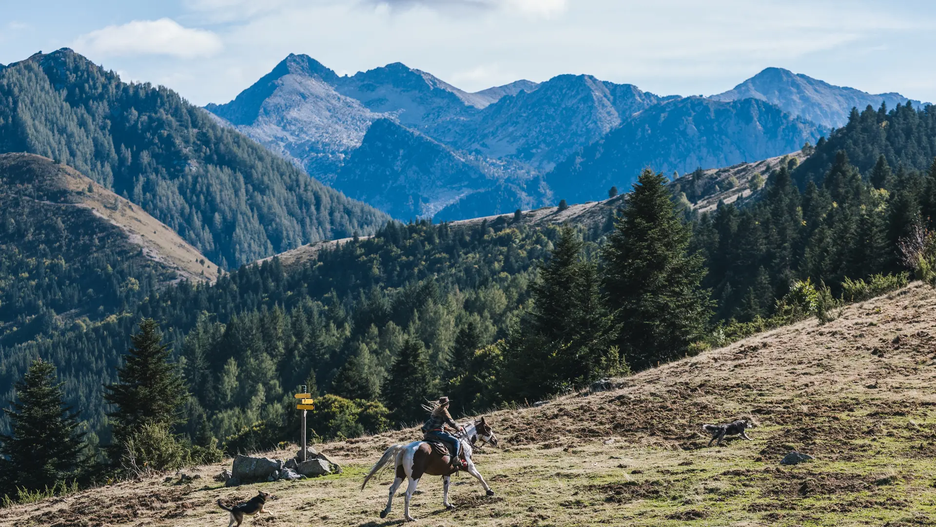 Sortie en montagne