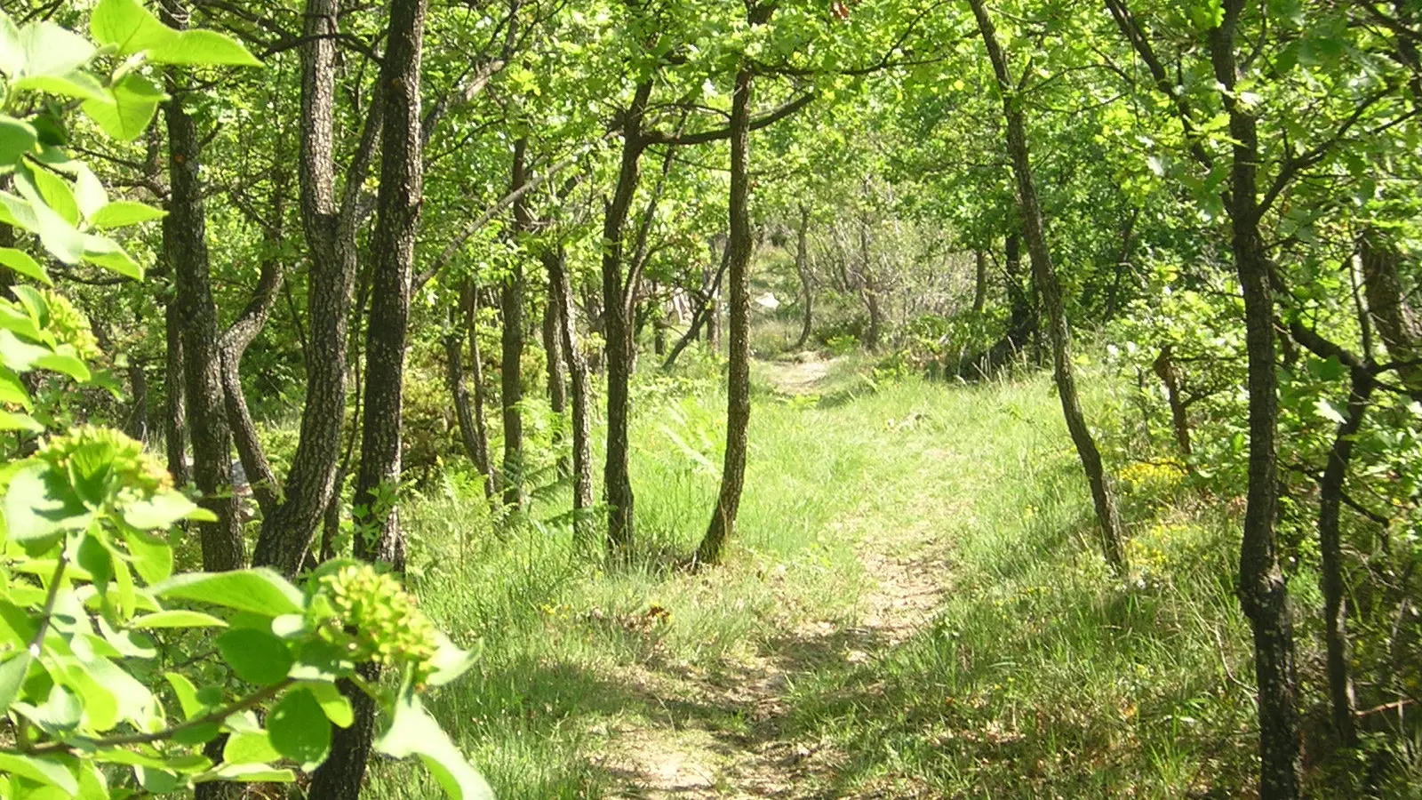 Vallon de l'eau salée