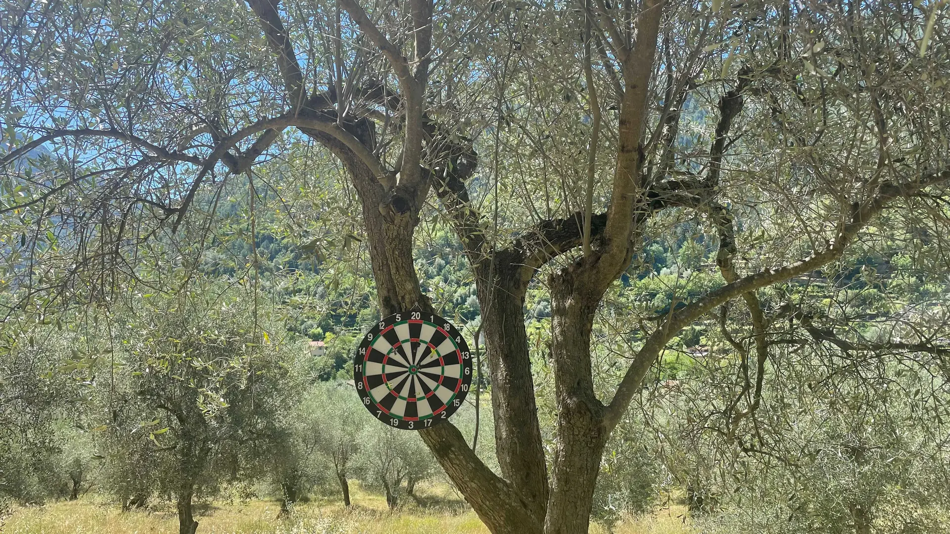 Coin fléchette pour l?apéro La Source du Mont à Breil sur Roya - Gîtes de France Alpes-Maritimes