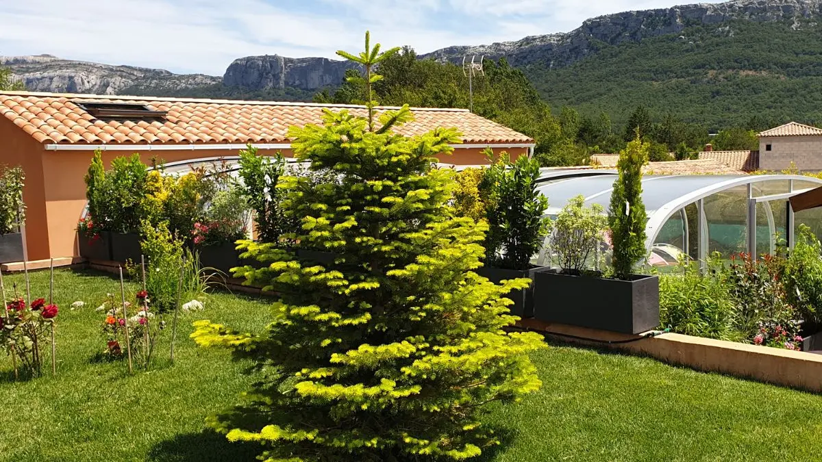 Vue sur la Sainte Baume