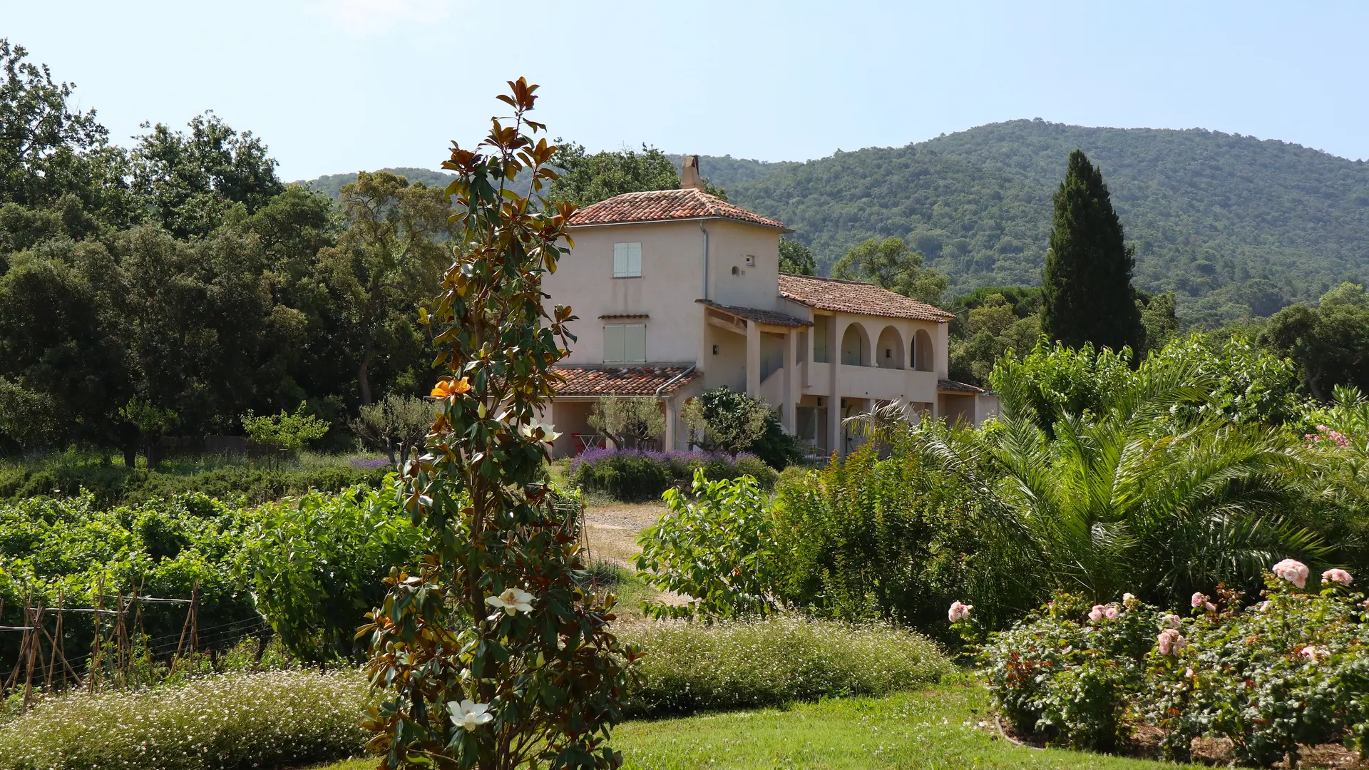 Au château Barbeyrolles à Gassin - https://gassin.eu