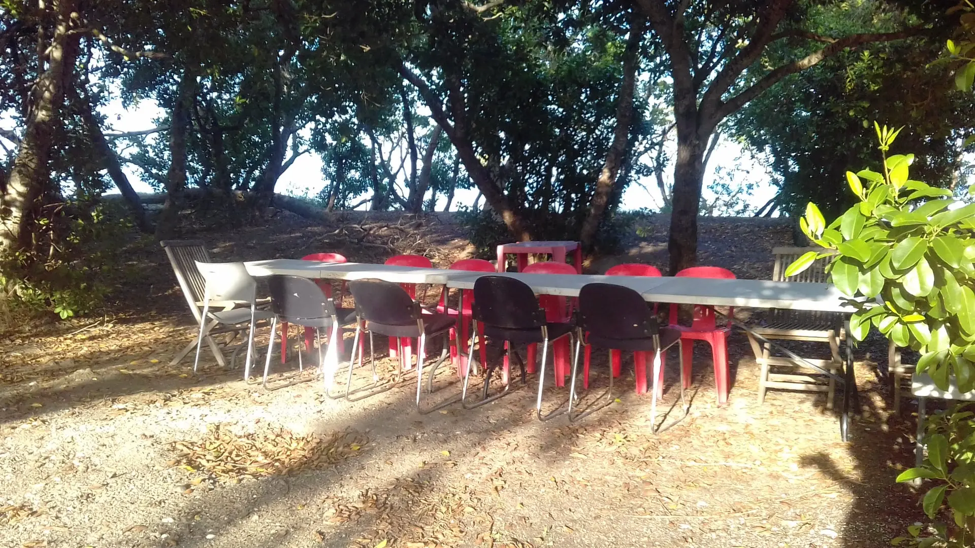 Coin repas au camping