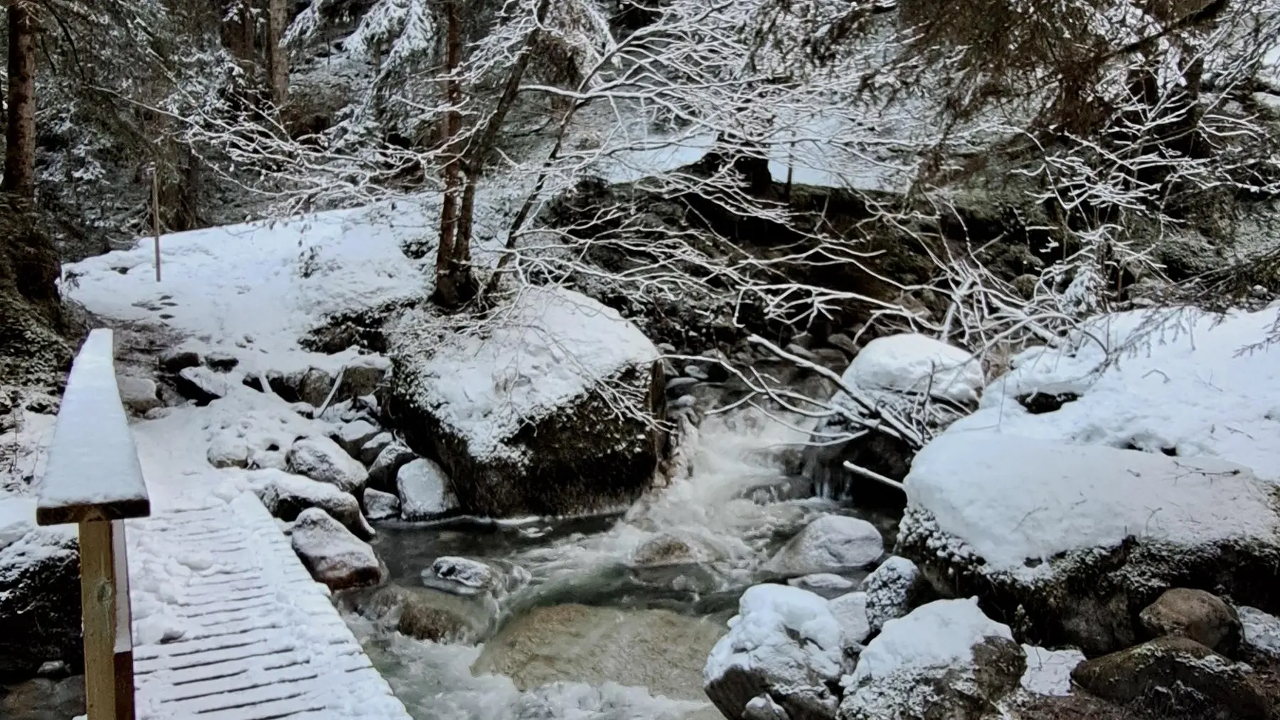 Sentier passant à proximité de la rivière