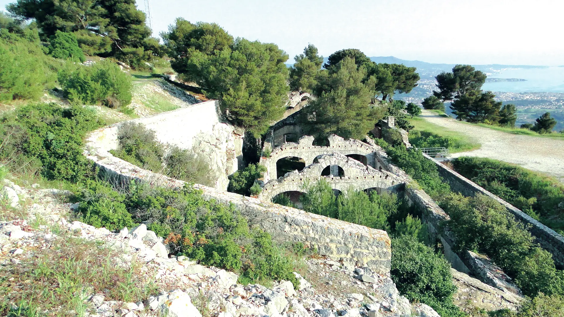 Ouvrage du gros cerveau