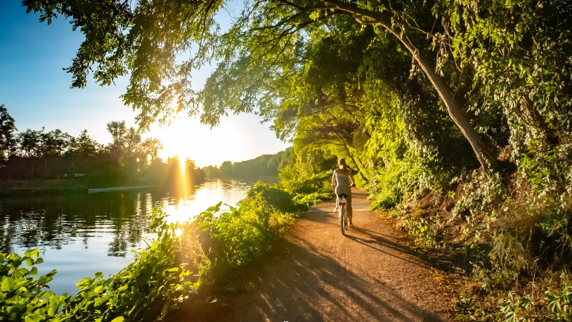 Les bords de l'Allier au soleil à Abrest