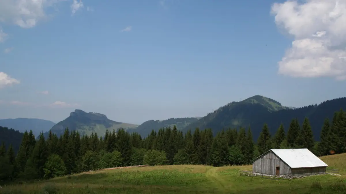 alpage de Petetoz