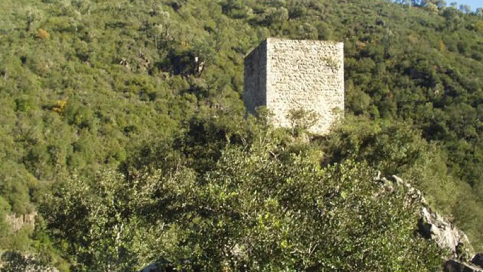 Saint Cassien des Bois- Tanneron