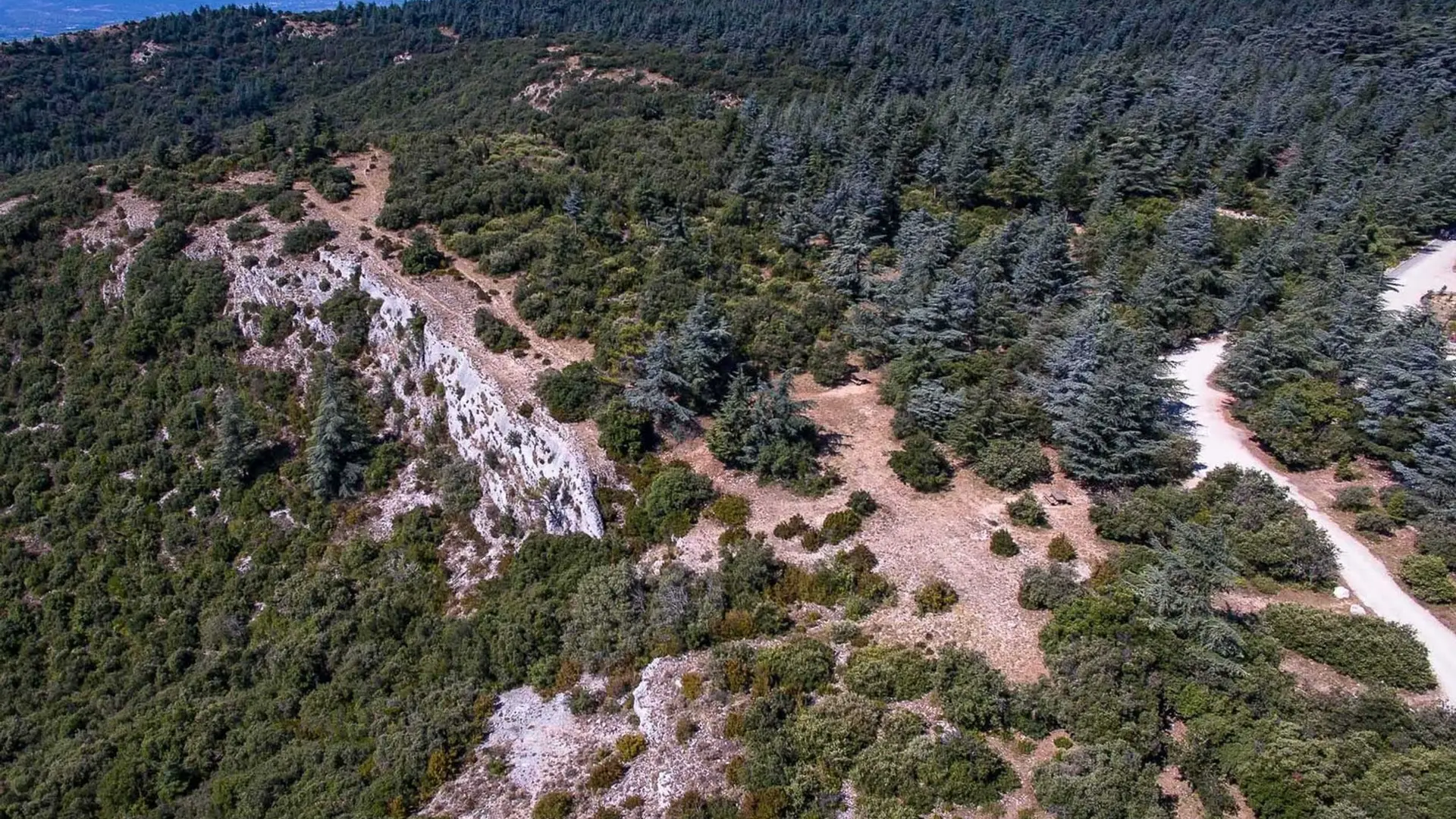 La Forêt des Cèdres vue du ciel