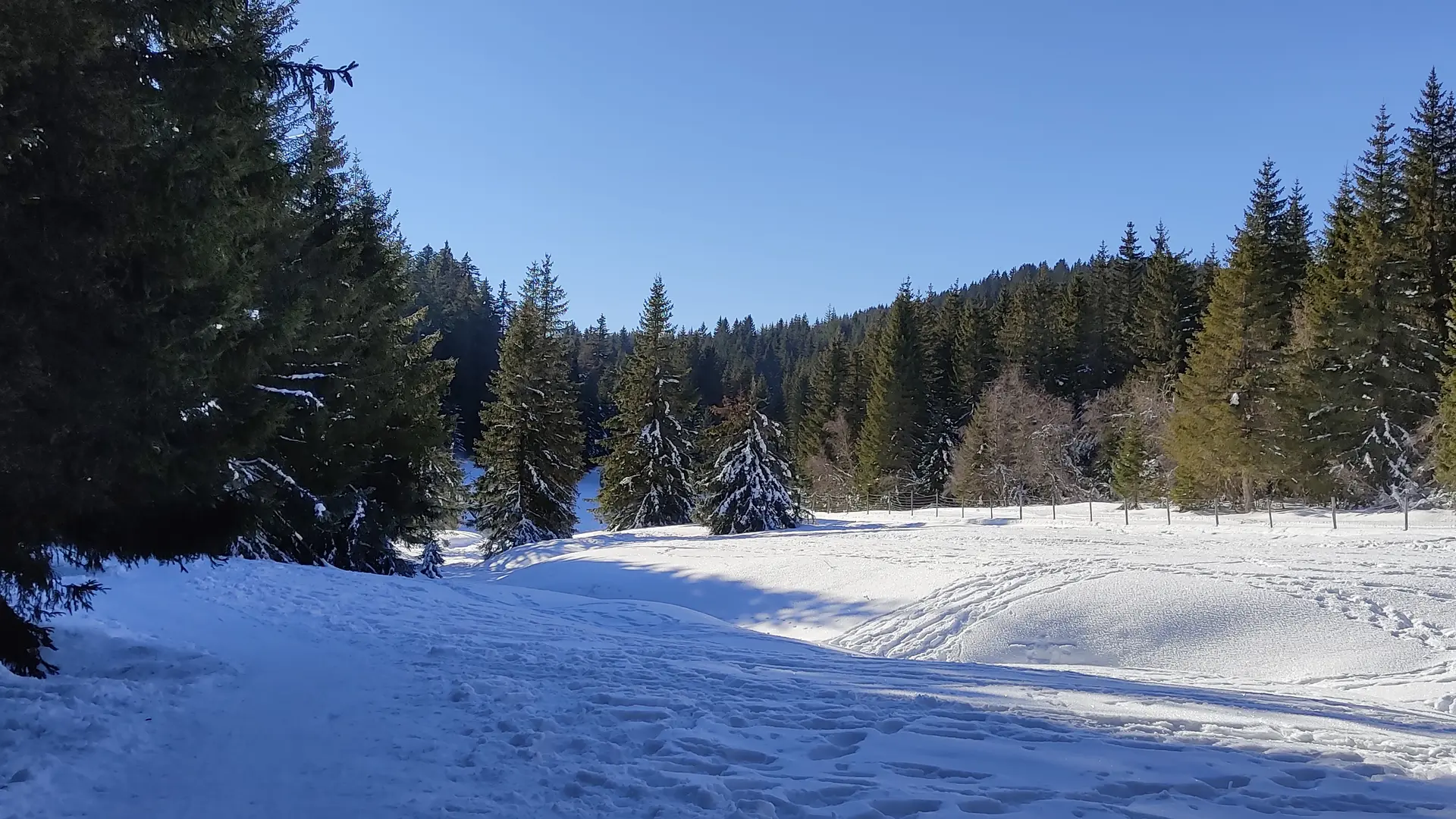 balcons du lac