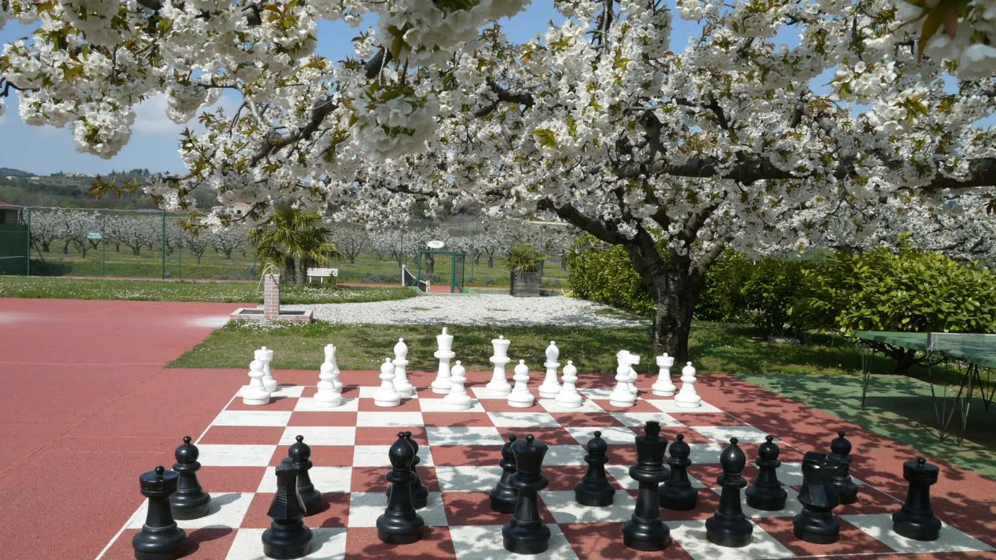 jeu d'échecs géant