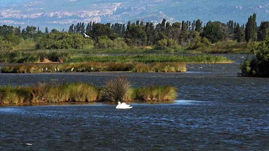 Etangs de Villepey - Fréjus - St Aygulf