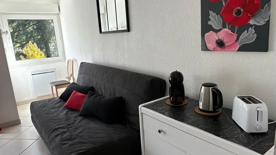 La pièce à vivre comprend un canapé lit, un meuble de rangement à tiroir surmonté d'une machine à café, d'un grille-pain et d'une bouilloire.