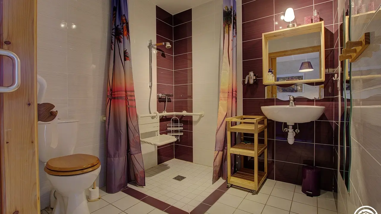 Salle d'eau de la chambre raisin
