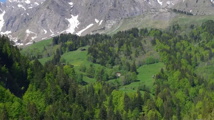 L'ETALE EN ÉTÉ