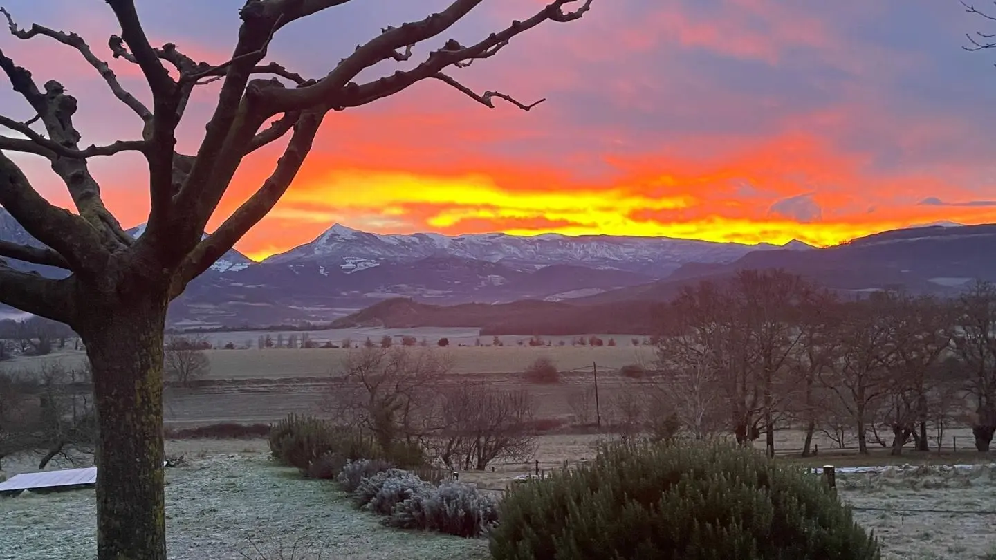 La vue depuis la propriété
